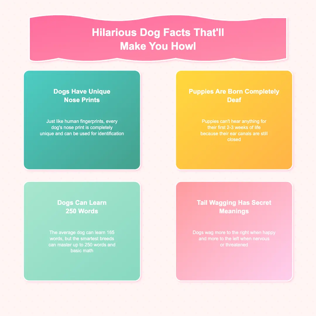 Fun Dog Infographics That Bark Up the Right Tree